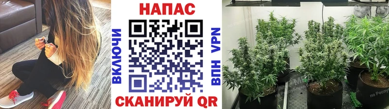 Каннабис марихуана  Обоянь 